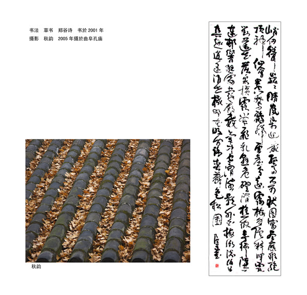 陈进摄影