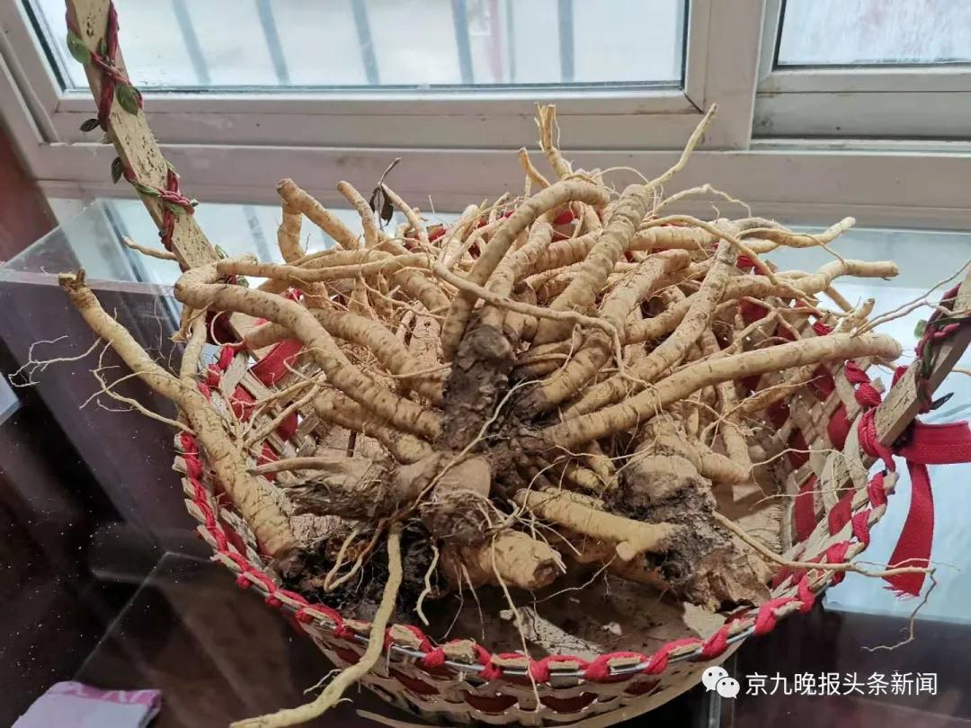 微信图片_20201128175207.jpg