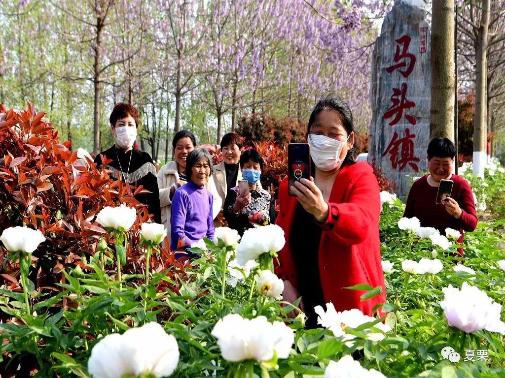 微信图片_20200725100935.jpg