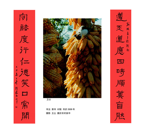 陈进摄影