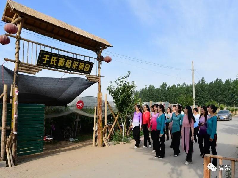 夏邑北岭镇孙后寨村变了摸样